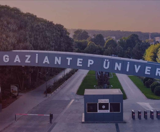 Güven Mimarlık Yapı Gaün 2025 Yılı Büyük Onarım Ve Tadılatları İşi